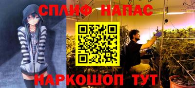 а пвп мука Беслан