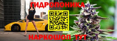 а пвп мука Беслан