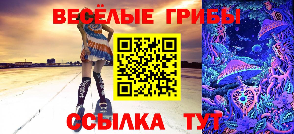 Верхняя Пышма  Псилоцибиновые грибы мухоморы  хочу   Вход с VPN 