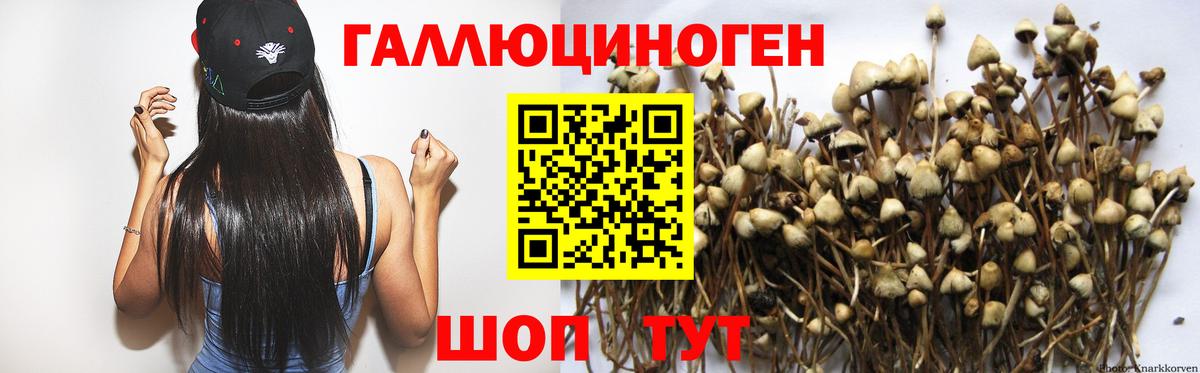 Псилоцибиновые грибы Psilocybe Верхняя Пышма