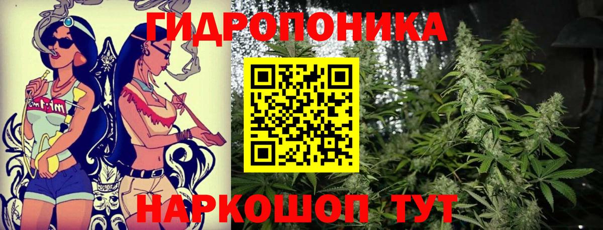 Канабис конопля Верхняя Пышма